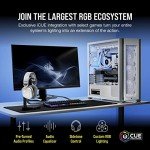 CORSAIR HS80 RGB WIRELESS Multiplatform Gaming Headset - Dolby Atmos - Lightweight Comfort Design - Broadcast Quality Microphone - iCUE Compatible - PC, Mac, PS5, PS4 - White