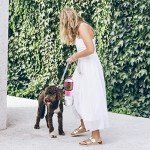 Cibaabo Dog Water Bottle with Food Container, Travel Puppy Water Bowl, Portable Pet Dispenser, Dog Stuff Accessories Items, Puppy Essentials Necessities for Walking and Hiking Girl Dog Gift