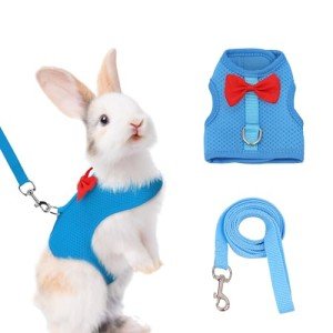 AIITLE Rabbit Harness and Leash Set with Cute Bow, Soft Breathable Mesh Vest Harness for Rabbits Kitten Ferret Puppy Small Pets Walking Supplies Blue L