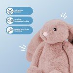 Best Pet Supplies Interactive Bunny Buddy Dog Toy with Crinkle and Squeaky Enrichment for Small and Medium Breed Puppies or Dogs, Cute and Plush - Bunny (Mauve), Small