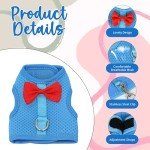 AIITLE Rabbit Harness and Leash Set with Cute Bow, Soft Breathable Mesh Vest Harness for Rabbits Kitten Ferret Puppy Small Pets Walking Supplies Blue L