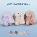 Best Pet Supplies Interactive Bunny Buddy Dog Toy with Crinkle and Squeaky Enrichment for Small and Medium Breed Puppies or Dogs, Cute and Plush - Bunny (Mauve), Small