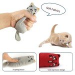 Soft Cat Toys for Indoor Cats Self Play Pet Supplies Cat Gifts Interactive Pillows Cat nip Filled Toys 5PCS Plush Kitten Teething Toys Set Cute Kitty Chew Bite Toys Resistant Cartoon Cat Mouse Toys