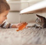 Soft Cat Toys for Indoor Cats Self Play Pet Supplies Cat Gifts Interactive Pillows Cat nip Filled Toys 5PCS Plush Kitten Teething Toys Set Cute Kitty Chew Bite Toys Resistant Cartoon Cat Mouse Toys