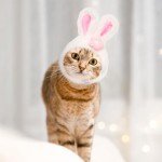 ALIBBON Easter Cat Hat Cute Bunny Rabbit Hat with Ears Flower Easter Pet Costume for Cats Small Dogs Puppy Cat Costume for Easter Party Adjustable Bunny Cap Rabbit Headwear for Easter Cosplay Supplies