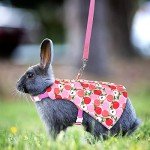 3 Sets Rabbit Bunny Harness and Leash, Cute Easter Bunny Clothes for Rabbits Dress Costume Walking Harness Escape Proof Pet Supply for Hedgehog Ferret Squirrel(Peach, Pineapple, Strawberry)