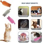 Soft Cat Toys for Indoor Cats Self Play Pet Supplies Cat Gifts Interactive Pillows Cat nip Filled Toys 5PCS Plush Kitten Teething Toys Set Cute Kitty Chew Bite Toys Resistant Cartoon Cat Mouse Toys