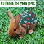 3 Sets Rabbit Bunny Harness and Leash, Cute Easter Bunny Clothes for Rabbits Dress Costume Walking Harness Escape Proof Pet Supply for Hedgehog Ferret Squirrel(Peach, Pineapple, Strawberry)