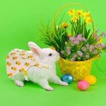 3 Sets Rabbit Bunny Harness and Leash, Cute Easter Bunny Clothes for Rabbits Dress Costume Walking Harness Escape Proof Pet Supply for Hedgehog Ferret Squirrel(Peach, Pineapple, Strawberry)