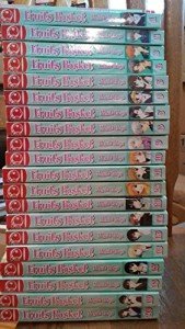 Fruits Basket, Vol. 1