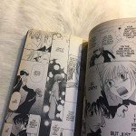 Fruits Basket, Vol. 13