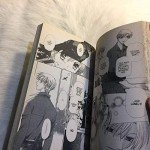 Fruits Basket, Vol. 13