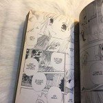 Fruits Basket, Vol. 13