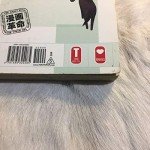 Fruits Basket, Vol. 13