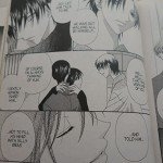 Fruits Basket, Vol. 10