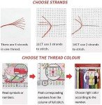 Phoenix Stamped Cross Stitch Kits - Moon Counted Cross Stitch Kits for Beginners Adults Sun Needlepoint Cross-Stitch Patterns Dimensions Needlecrafts Embroidery Kits Arts and Crafts