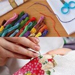 Baipisan Cross Stitch Kit for Adults - Sun and Moon 11CT Preprinted Easy Pattern Needlepoint Kit