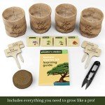 Bonsai Starter Kit - Gardening Easter Gift for Women & Men - Bonsai Tree Growing Garden Crafts Hobby Kits for Adults, Unique Hobbies for Plant Lovers - Unusual Christmas Gifts Ideas - Gardener Mother