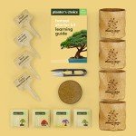 Bonsai Starter Kit - Gardening Easter Gift for Women & Men - Bonsai Tree Growing Garden Crafts Hobby Kits for Adults, Unique Hobbies for Plant Lovers - Unusual Christmas Gifts Ideas - Gardener Mother