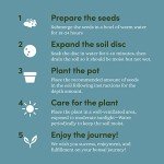 Bonsai Starter Kit - Gardening Easter Gift for Women & Men - Bonsai Tree Growing Garden Crafts Hobby Kits for Adults, Unique Hobbies for Plant Lovers - Unusual Christmas Gifts Ideas - Gardener Mother