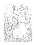 Creative Haven The Dog Lovers' Coloring Book (Adult Coloring Books: Pets)