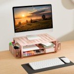 gianotter Desk Computer Monitor Stand Riser with Drawer and 2 Pen Holder, Desk Organizers for Wome,Home Office Essentials (Rose Gold)
