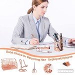 KAAKOW Rose Gold Desk Organizers and Accessories Office Supplies Set Stapler, Pen Holder, Phone Holder, Scissors, Pen, Ruler, 30 Paper Clips, 22 Binder Clip, 20 Tacks and 1000pcs Staples