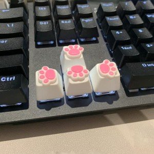 4 Pack Custom OEM R4 Keycaps PBT Mechanical Keyboard Keycaps Cute Cat Paw Key Cap Kawaii Gaming Keycaps for Mechanical Keyboard with Keycap Puller (White Base)