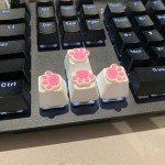 4 Pack Custom OEM R4 Keycaps PBT Mechanical Keyboard Keycaps Cute Cat Paw Key Cap Kawaii Gaming Keycaps for Mechanical Keyboard with Keycap Puller (White Base)
