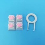 4 Pack Custom OEM R4 Keycaps PBT Mechanical Keyboard Keycaps Cute Cat Paw Key Cap Kawaii Gaming Keycaps for Mechanical Keyboard with Keycap Puller (White Base)