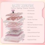 KiiBoom Phantom 21 Hot Swappable Crystal Acrylic Numpad, BT5.0/2.4GHz/USB-C Triple Mode NKRO Programmable Numeric Keypad with Knob, South-Facing RGB, 1900mAh Battery for Win/Mac (Pink)