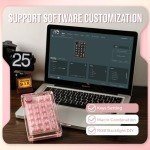 KiiBoom Phantom 21 Hot Swappable Crystal Acrylic Numpad, BT5.0/2.4GHz/USB-C Triple Mode NKRO Programmable Numeric Keypad with Knob, South-Facing RGB, 1900mAh Battery for Win/Mac (Pink)