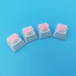 4 Pack Custom OEM R4 Keycaps PBT Mechanical Keyboard Keycaps Cute Cat Paw Key Cap Kawaii Gaming Keycaps for Mechanical Keyboard with Keycap Puller (White Base)