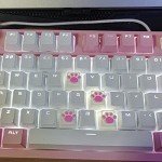 4 Pack Custom OEM R4 Keycaps PBT Mechanical Keyboard Keycaps Cute Cat Paw Key Cap Kawaii Gaming Keycaps for Mechanical Keyboard with Keycap Puller (White Base)