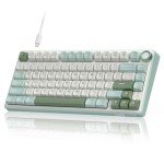 RK ROYAL KLUDGE R75 Mechanical Keyboard Wired with Volume Knob, 75% Custom Gaming Keyboard Gasket Mount RGB Backlit with Software, MDA Profile, PBT Keycaps, Hot Swappable Linear Switch Creamy Sound