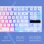 Gaming Keyboard 87 Key TKL Wired Keyboard,CHONCHOW Rainbow Led Backlight White Keyboard Mouse 3200DPI Cute Keyboard Combo Compatible with PC Laptop Ps4 Ps5 Xbox Gamer