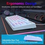 HUO JI Gaming Keyboard USB Wired with Rainbow LED Backlit, Floating Keys, Mechanical Feeling, Spill Resistant, Ergonomic for Xbox, PS Series, Desktop, Computer, PC, Purple Blue