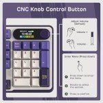 RK ROYAL KLUDGE S98 Mechanical Keyboard w/Smart Display & Knob, Top Mount 96% Wireless Mechanical Keyboard BT/2.4G/USB-C, Hot Swappable, Software Support, Massive Battery, 98 Keys