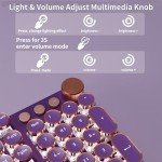 SEUNKWANG EWEADN Typewriter Style Mechanical Gaming Keyboard,104 Keys Backlit LED Keyboard, Media Control Knob, Wired Computer Keyboard Pink Switch for Windows/Mac/PC-Purple