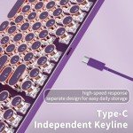 SEUNKWANG EWEADN Typewriter Style Mechanical Gaming Keyboard,104 Keys Backlit LED Keyboard, Media Control Knob, Wired Computer Keyboard Pink Switch for Windows/Mac/PC-Purple