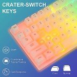 CHONCHOW LED Keyboard and Mouse, 104 Keys Rainbow Backlit Keyboard and 7 Color RGB Mouse, White Gaming Keyboard and Mouse Combo for PC Laptop Xbox PS4 Gamers and Work