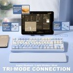 YUNZII B87 Wireless Mechanical Keyboard,QMK/VIA Programmable,TKL Layout 87 Keys,BT/2.4G/USB-C,Hot Swap Gasket Mount RGB Backlit Gaming with Wrist Rest for Win/Mac(Blue, Cocoa Cream V2)