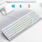 HUO JI E-Yooso Creamy Mechanical Keyboard Wired, Hot Swappable, Pre-lubed Linear Switches, Gasket Structure with Sound Dampening Foam, RGB Backlit, 99 Keys Custom Gaming Keyboard for PC/Mac,White