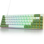 Owpkeenthy Wired 65% Percent Mechanical Gaming Keyboard Creamy Keycaps with Red Switch Ultra Compact RGB 60% Cute Green Gaming Keyboard N-Key Rollover for PC Gamer (Matcha/68 Red Switch)