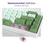 Owpkeenthy Wired 65% Percent Mechanical Gaming Keyboard Creamy Keycaps with Red Switch Ultra Compact RGB 60% Cute Green Gaming Keyboard N-Key Rollover for PC Gamer (Matcha/68 Red Switch)