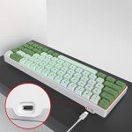 Owpkeenthy Wired 65% Percent Mechanical Gaming Keyboard Creamy Keycaps with Red Switch Ultra Compact RGB 60% Cute Green Gaming Keyboard N-Key Rollover for PC Gamer (Matcha/68 Red Switch)