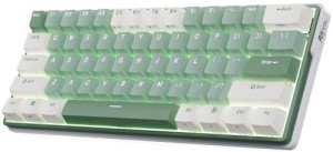 RK ROYAL KLUDGE RK61 Plus Mechanical Keyboard, 60% Percent Wireless Gaming Keyboard with USB Hub, Bluetooth/2.4Ghz/Wired RGB Hot Swappable PC Keyboard for Win/Mac/Android, Tactile Pale Green Switches