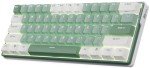 RK ROYAL KLUDGE RK61 Plus Mechanical Keyboard, 60% Percent Wireless Gaming Keyboard with USB Hub, Bluetooth/2.4Ghz/Wired RGB Hot Swappable PC Keyboard for Win/Mac/Android, Tactile Pale Green Switches