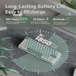 RK ROYAL KLUDGE RK61 Plus Mechanical Keyboard, 60% Percent Wireless Gaming Keyboard with USB Hub, Bluetooth/2.4Ghz/Wired RGB Hot Swappable PC Keyboard for Win/Mac/Android, Tactile Pale Green Switches