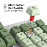 Fogruaden Full Size Mechanical Keyboard, Green Matcha Keyboard, Wired USB 104 Keys RGB Backlit Gaming Keyboard with Number Pad, Red Switches, NKRO Mechanical Keyboard for Windows Laptop PC Gamer